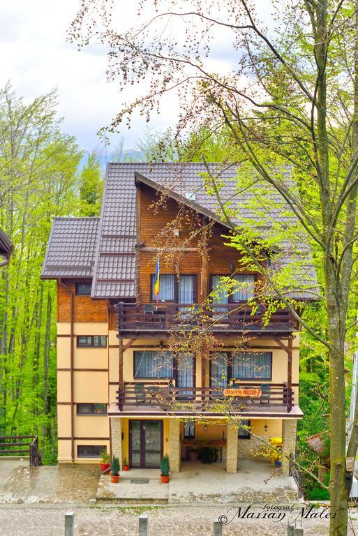 Pension Master Sinaia Bagian luar foto