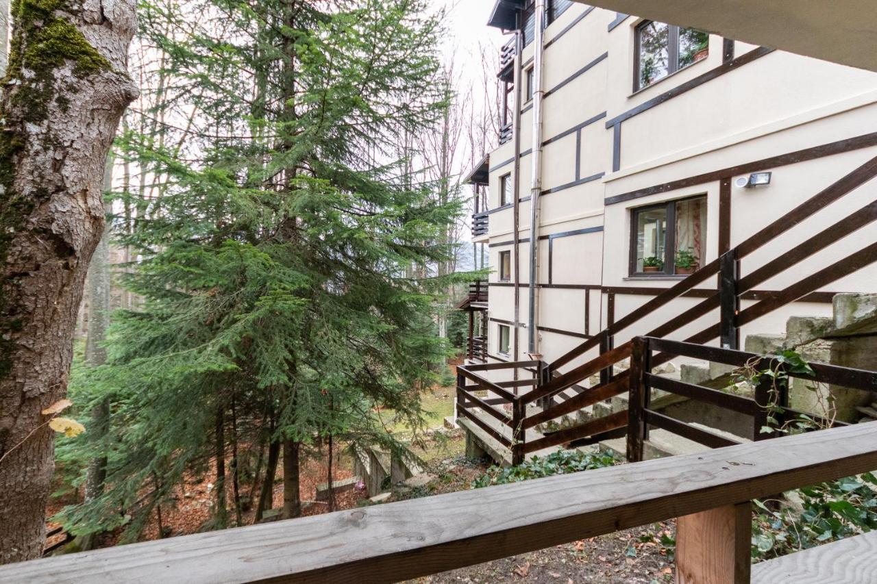 Pension Master Sinaia Bagian luar foto